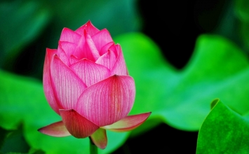 Chỗ ở của mình